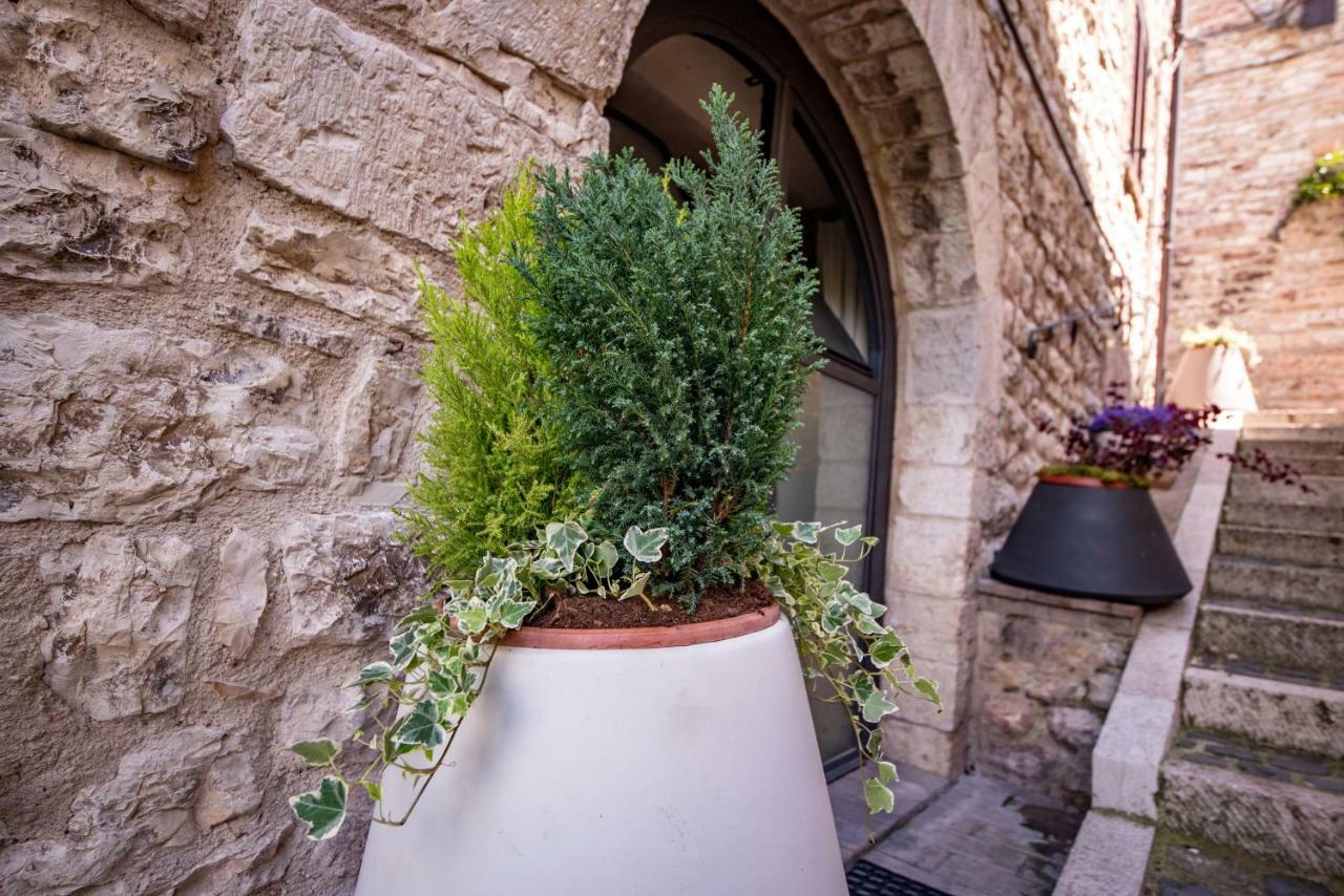 Perfetta Letizia Casa Vacanza Assisi Exterior foto